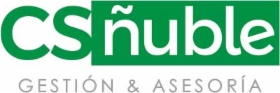 CS Ñuble Gestión & Asesoría