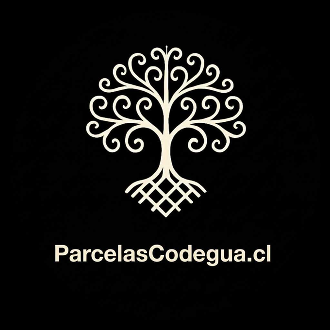 Logo corredora