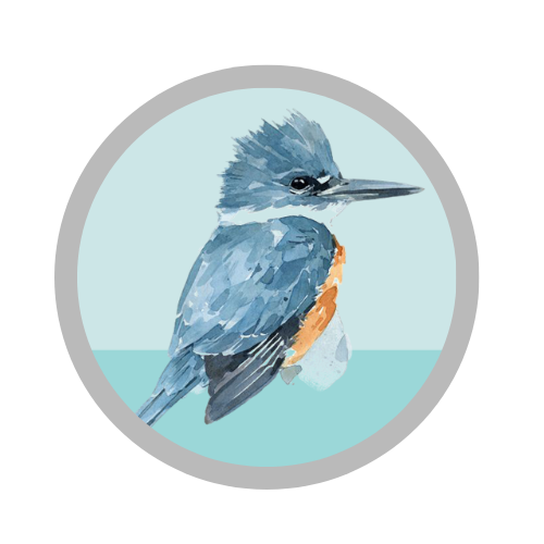 Logo corredora