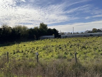 Local Comercial en arriendo mensual en Km. 0,1 Camino a Cato, Chillán