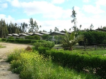 Terreno Agricola en venta en Camino Parroquial, Cartagena