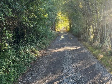 Parcela en venta en Sector San Ricardo - San Rafael, San Rafael