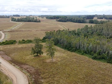 Terreno en venta en Parcelas 5000m2 Frutillar Rol Luz Agua (154492), Frutillar