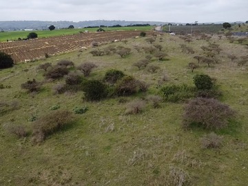 Parcela en venta en Parcela Plana de 1 Hectarea en el Convento