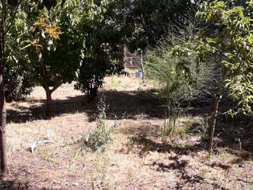 Casa en venta en Se Vende Casa con Uso Comercial en Quillón (131336), Quillón - 3 dormitorios, 2 baños