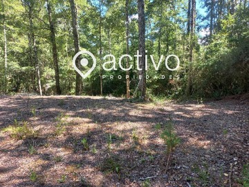 Terreno en venta en Ruta T -202, Valdivia