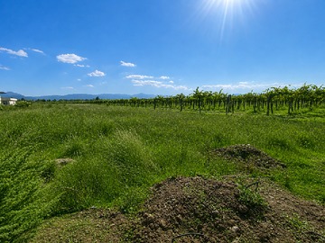 Terreno en venta en Los boldos, Santa Cruz