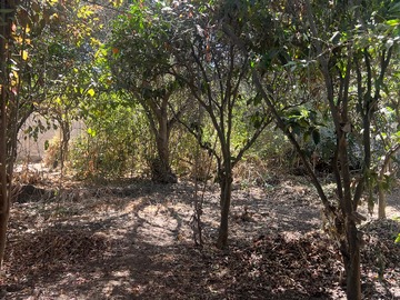 Terreno en venta en Avenida República, Limache