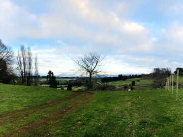Venta / Parcela / Lago Ranco