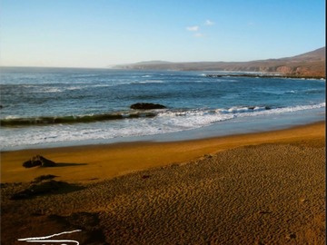 Venta / Sitio / Canela