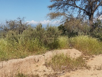 Parcela en venta en Los boldos, Limache