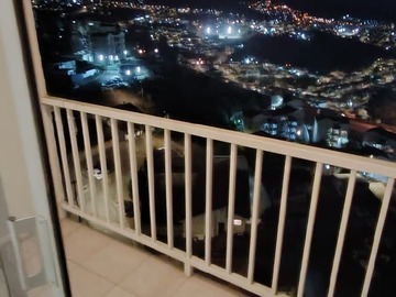Departamento en arriendo mensual en Jorge Ross 1070, Viña del Mar - 3 dormitorios, 1 baño