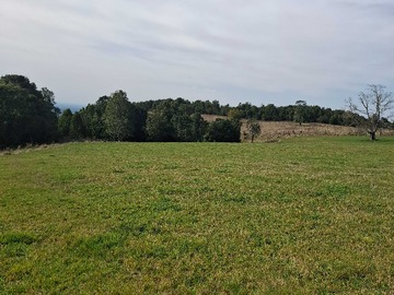 Terreno Agricola en venta en 15 Hectareas Sector Parrones Rio Negro (171757), Río Negro