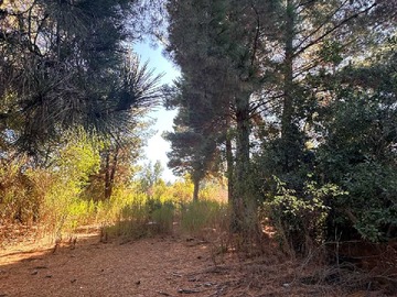 Terreno en venta en 7 hectáreas a sólo pasos de estación (149007), Hualqui