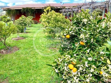 Venta / Casa / San Antonio