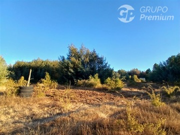 Sitio en venta en Sector tejería km 1, Pinto