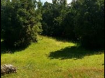 Terreno Agricola en venta en 15 has. En caleta aulén -hualaihué, Hualaihué