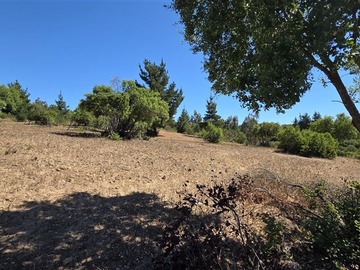 Parcela en venta en Algarrobo, Camino Tunquén, Algarrobo