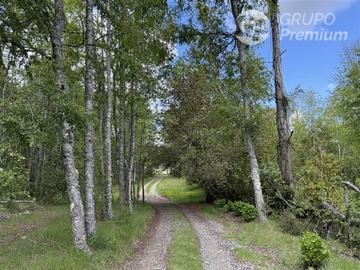Parcela en venta en Sector Chucauco el Canelo Viejo Villarrica, Villarrica - 3 dormitorios, 2 baños