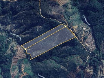 Terreno en venta en Oportunidad de Inversión en Terreno Urbano (171699), Curepto