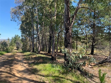 Parcela en venta en Sector Pan de Azucar, San Javier de Loncomilla
