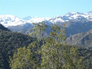 Arriendo Mensual / Departamento / Lo Barnechea