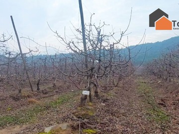 Terreno Agricola en venta en Capo de Cereza en San Fernando (171674), San Fernando