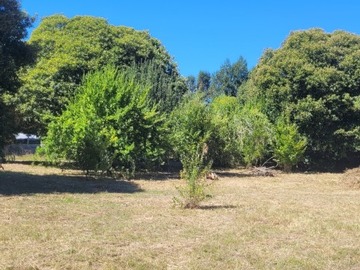 Venta / Parcela / Villarrica
