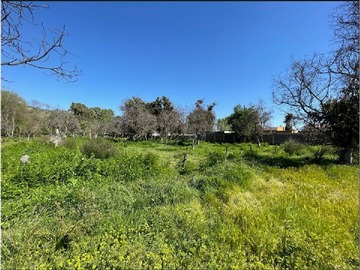 Parcela en venta en Olea 162, Isla de Maipo - 3 dormitorios, 2 baños