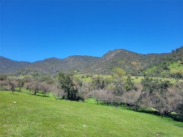 Terreno Agricola en venta en Pincha camino a Loncha, Alhué