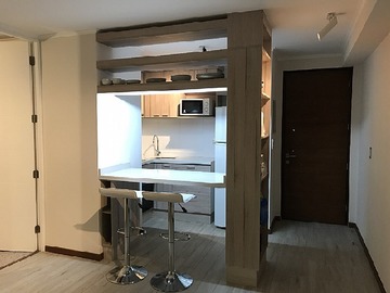 Departamento en arriendo mensual en Hospital del salvador- providencia, Providencia - 1 dormitorio, 1 baño