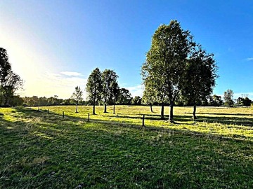Terreno en venta en Vendo Terreno/Laguna Bonita/Pto Octay (114942), Puerto Octay