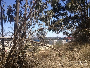 Parcela en venta en Vendo Parcela Industrial 10.000 Mts. Placilla Valparaiso