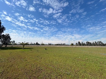 Parcela en venta en Reserva Peumo Negro, San Clemente
