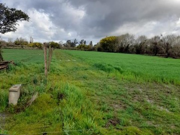 Parcela en venta en Carretera 5 Norte - Camino San Pedro de Lilahue, San Carlos