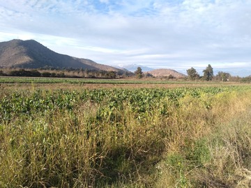 Terreno Agricola en venta en Calera de Tango, Calera de Tango