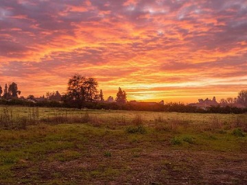 Venta / Terreno / Pirque