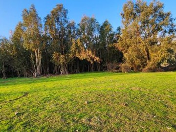 Parcela en venta en Camino Padre Hurtado - G-547, Paine - 5 dormitorios, 4 baños