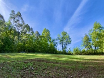 Parcela en venta en Maravillosas Parcelas en sector El Pajal / 63 km de Los Angeles/ ruta Q-45, Antuco