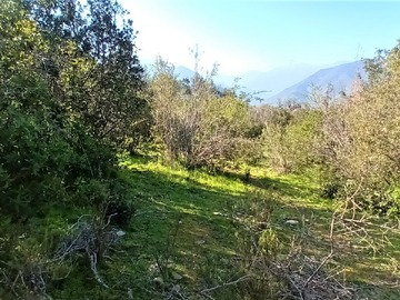 Terreno Agricola en venta en Lo Castro S/N, Quebrada Alvarado, Olmué, Olmué