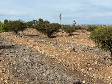Venta / Terreno / Ovalle
