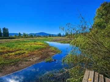 Venta / Parcela / Las Cabras