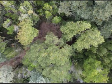 Terreno en venta en Venta Linda ParcelaPucón Carhuello (174083), Pucón