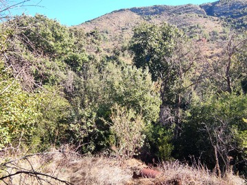 Terreno en venta en Inversión, cerca de zonas urbanas (166580), Olmué