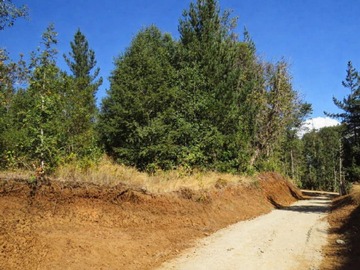 Parcela en venta en ruta Villarrica- Licanray, Villarrica