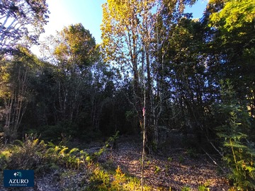 Terreno en venta en 6.83 Hás, precio inmejorable, hermosas vistas (169897), Puerto Montt