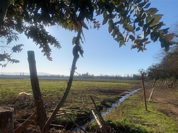 Terreno Agricola en venta en Sector Lo Patricio, Pelarco
