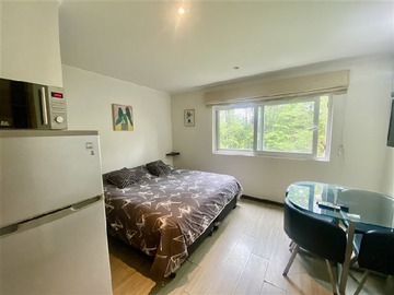 Arriendo Mensual / Departamento / Pucón