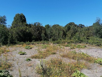 Terreno en venta en Parcela con luz y agua en pelluco alto (75203), Puerto Montt