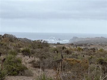 Sitio en venta en Carretera 5 norte a 200 km de santiago - al lado de los molles, La Ligua